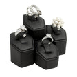 Ring Display Set-Nile Corp