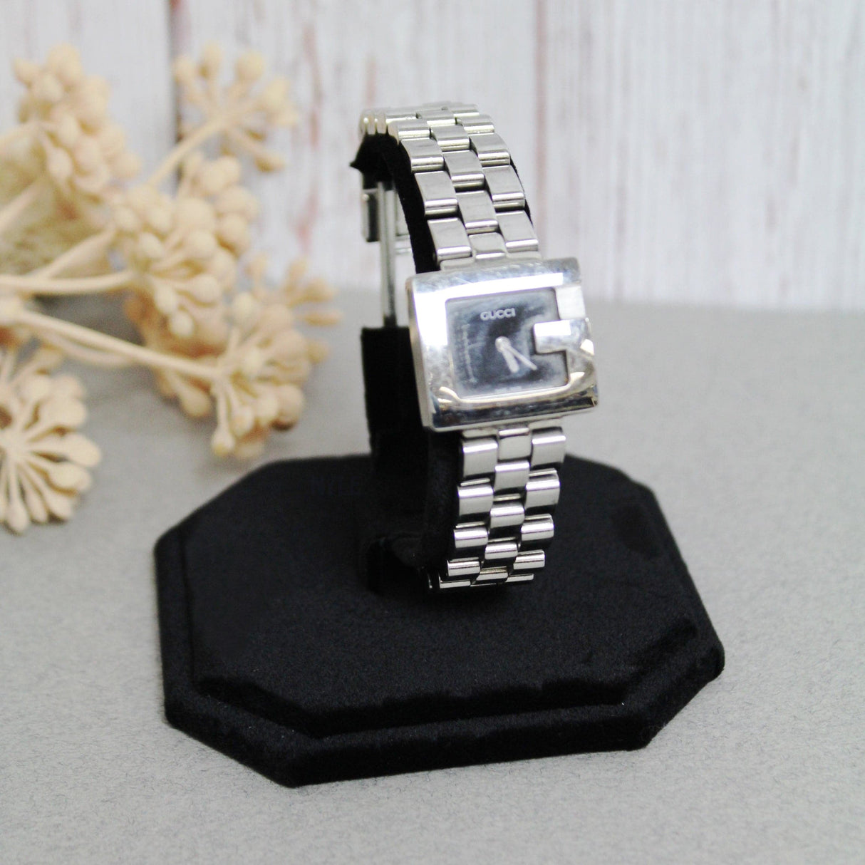 Single Watch Display-Nile Corp