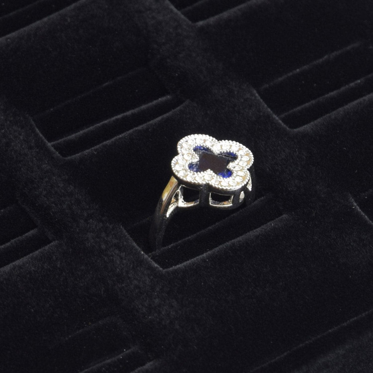 Ring Display-Nile Corp