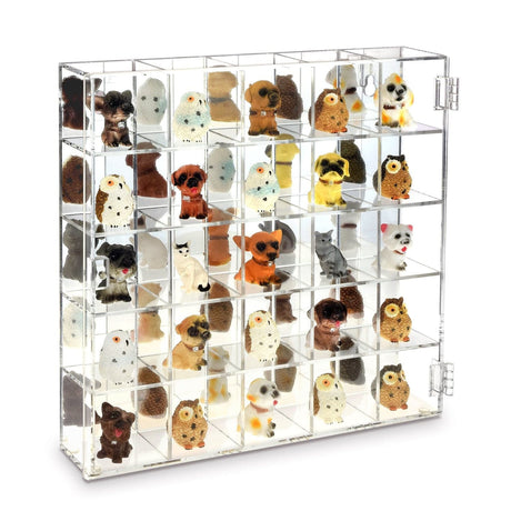 Display Case