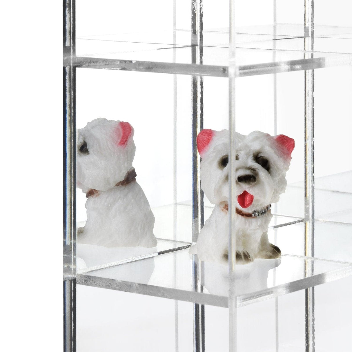 #COT1855 Mountable 25 Compartments Display Case w/ Mirrored Back