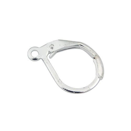 BS Earrings