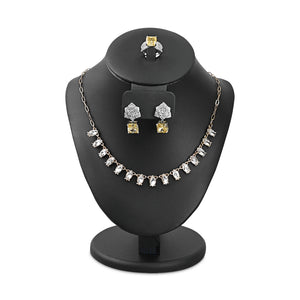 Combination Necklace Display
