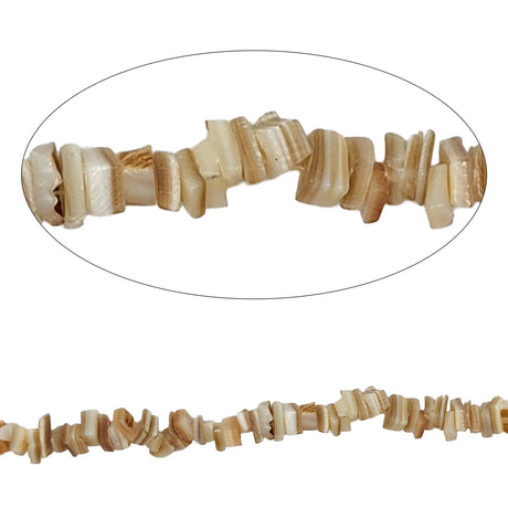 #BS-1134PS Mother Of Pearl Natural Chips