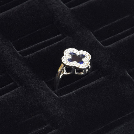 Ring Display-Nile Corp