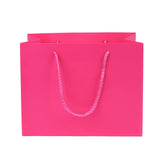 #BXY669 Solid Color Paper Gift Bag