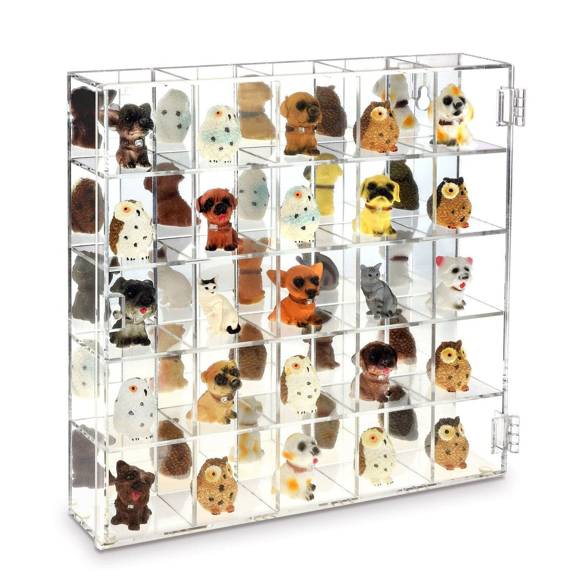 #COT1855 Mountable 25 Compartments Display Case w/ Mirrored Back – Nile ...