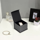#PMW2-M23 Elegant Mesh Gray Magnetic Watch Box