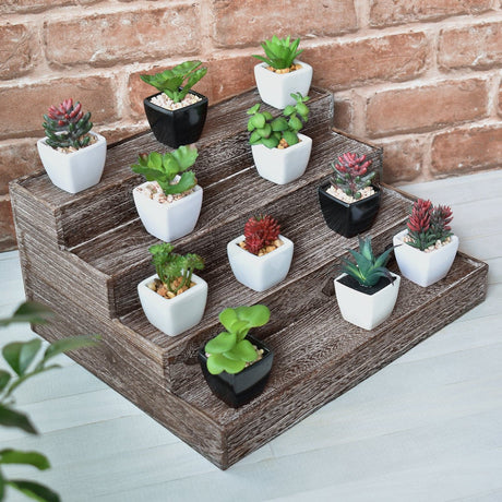  step shelf
