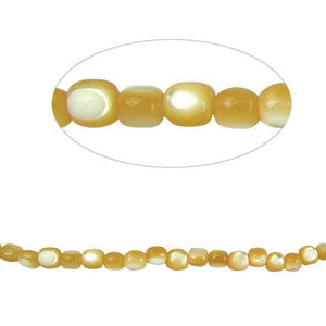 Shell Beads