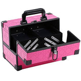 Makeup Carrying Case-Nile Corp